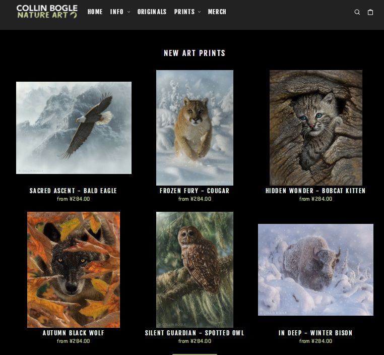 25-cv-00927，Collin Bogle野生动物版权维权归来，68店被TRO冻结！