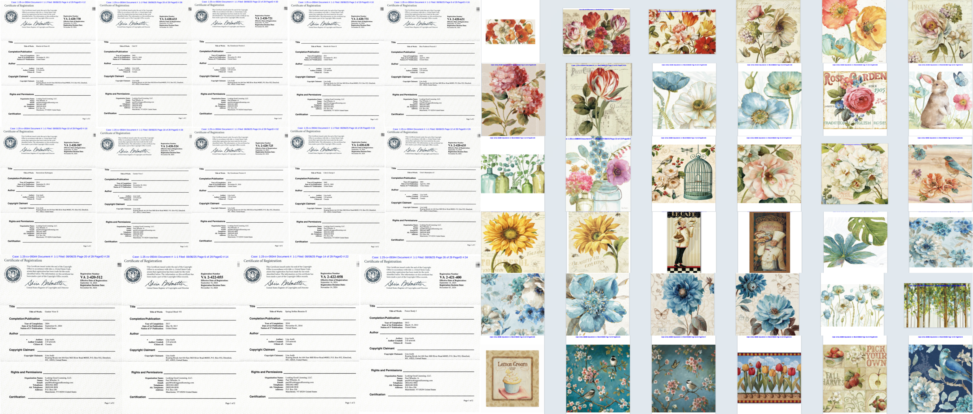 Lisa Audit版权风暴：25次维权、4800+账户冻结，跨境卖家如何突围？